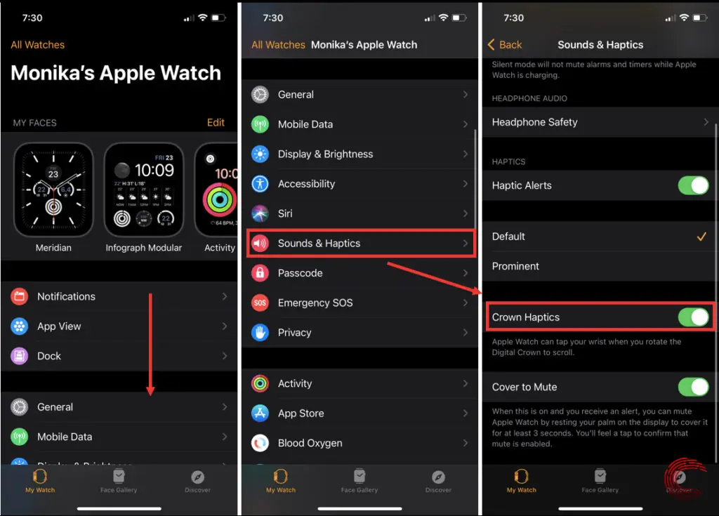 How-To-Turn-Off-Digital-Crown-On-Apple-Watch-Iphone