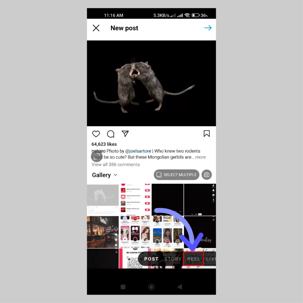 How To Get Happy Valentines Day Filter on Snapchat, TikTok, & Instagram Happy Valentine's Day filter